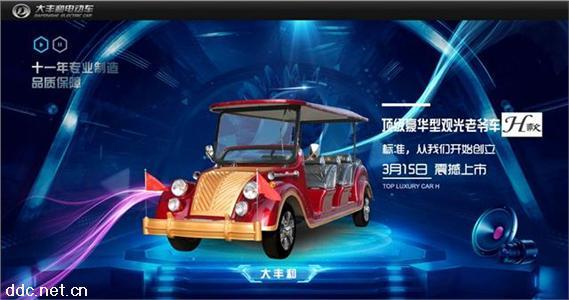  电动老爷车新品DFH-8H